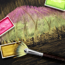 Load image into Gallery viewer, Artist Quality Fan Brushes Set of 6
