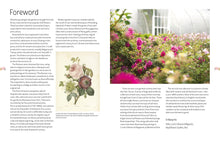 Load image into Gallery viewer, Kew Book of Painting Roses in Watercolour
